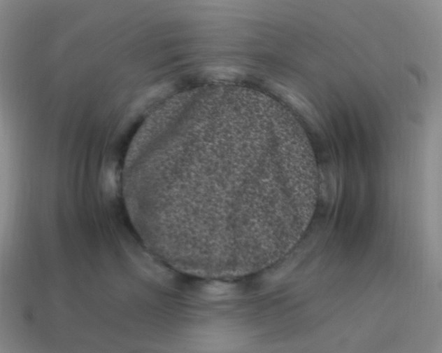 X0000113330718200910131149