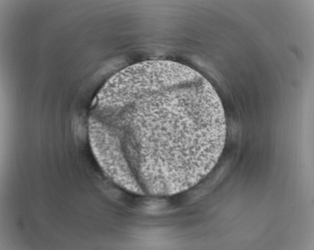 X0000113330719200910131149