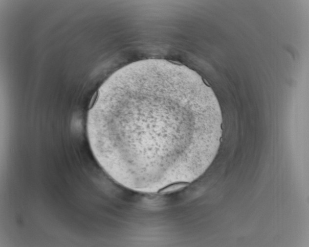 X0000113330720200910131149