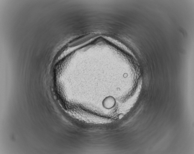 X0000113330721200910131148