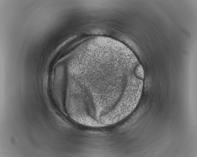 X0000113330722200910131148