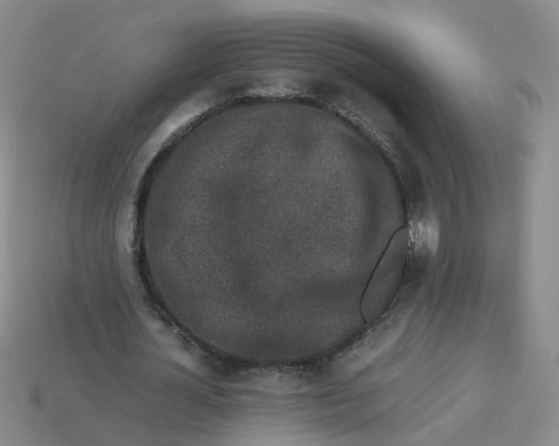 X0000113330724200910131148