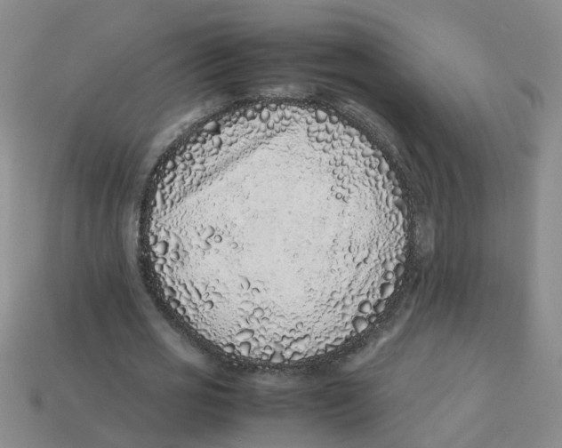 X0000113330725200910131148