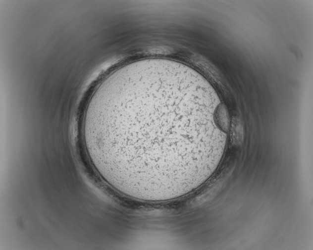 X0000113330726200910131148