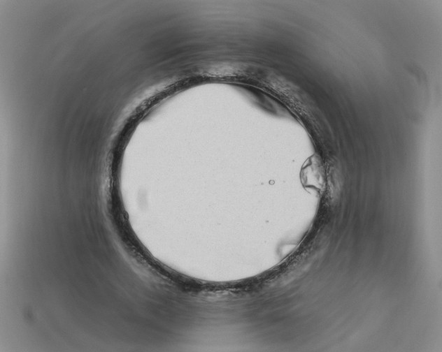 X0000113330728200910131148