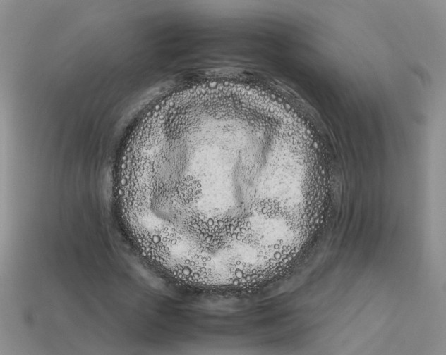 X0000113330729200910131148