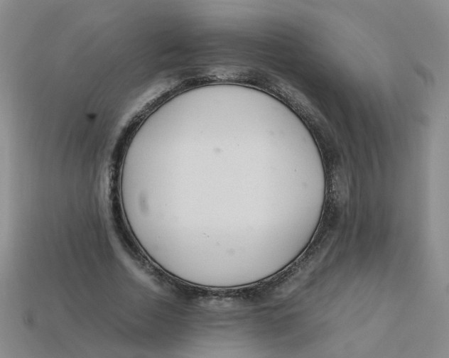 X0000113330730200910131148