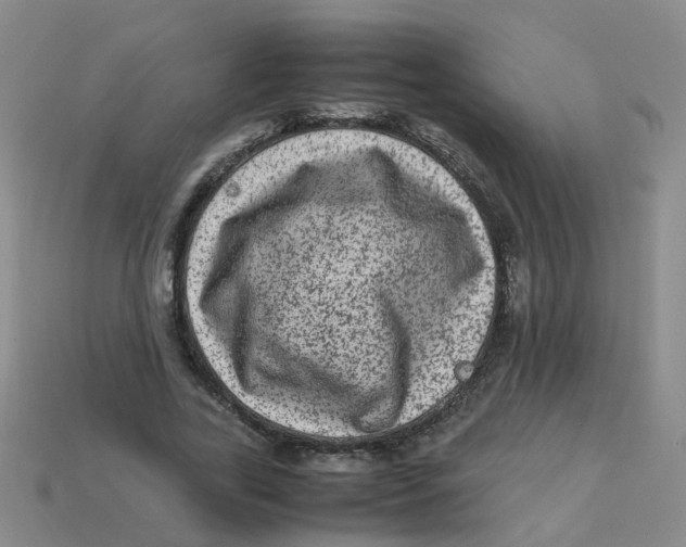 X0000113330731200910131148