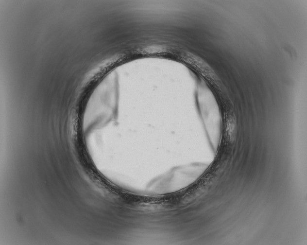 X0000113330732200910131148