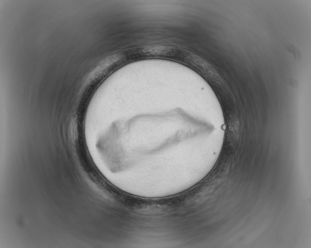 X0000113330734200910131148