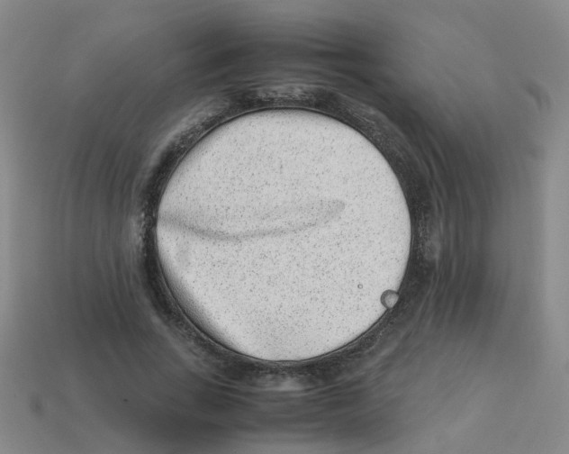 X0000113330735200910131148