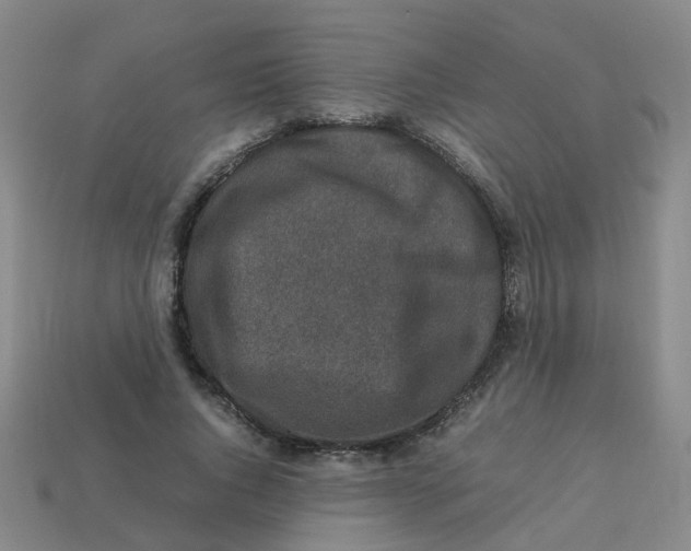 X0000113330736200910131148