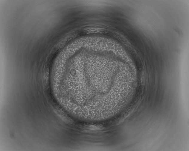 X0000113330737200910131148