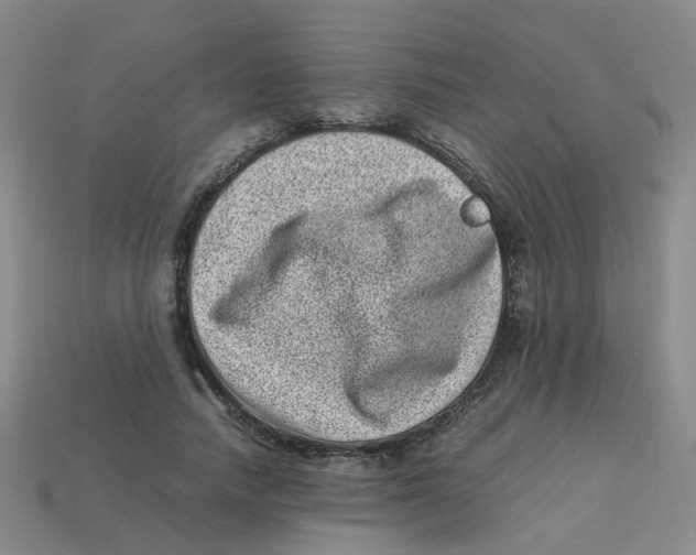 X0000113330738200910131148