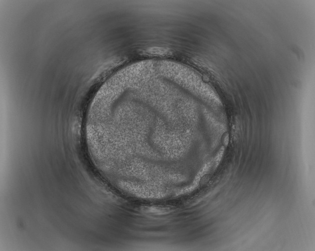X0000113330739200910131148