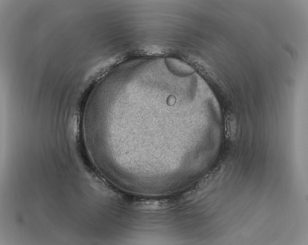 X0000113330740200910131148