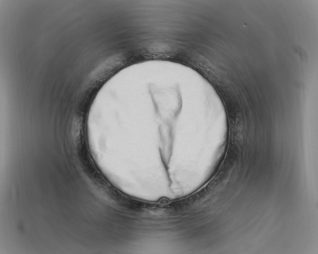 X0000113330742200910131148