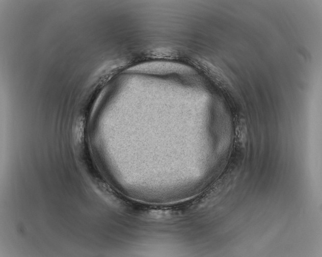X0000113330744200910131148