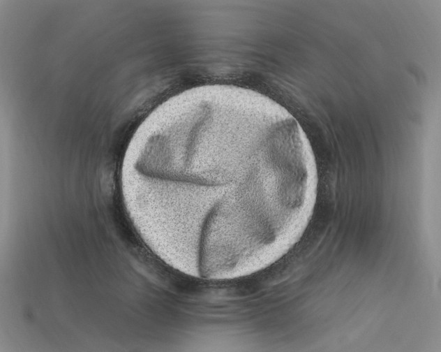 X0000113330746200910131148