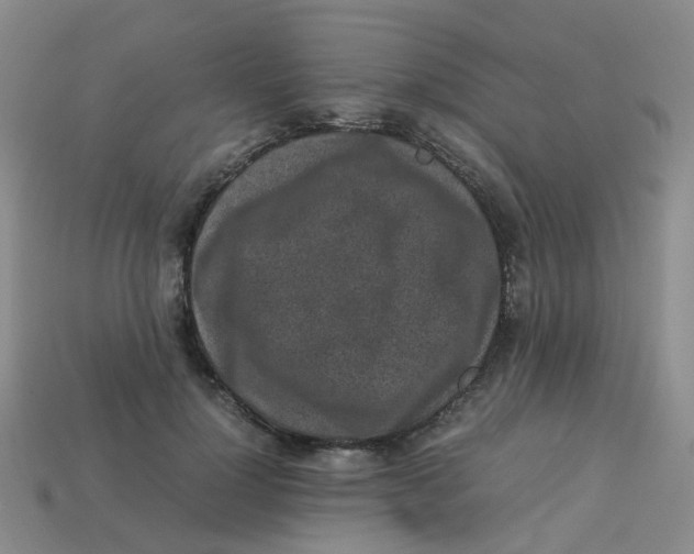 X0000113330748200910131148