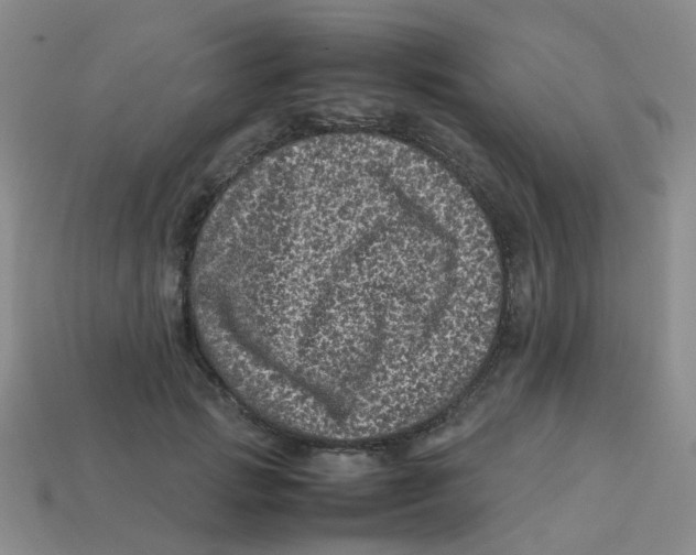 X0000113330749200910131148