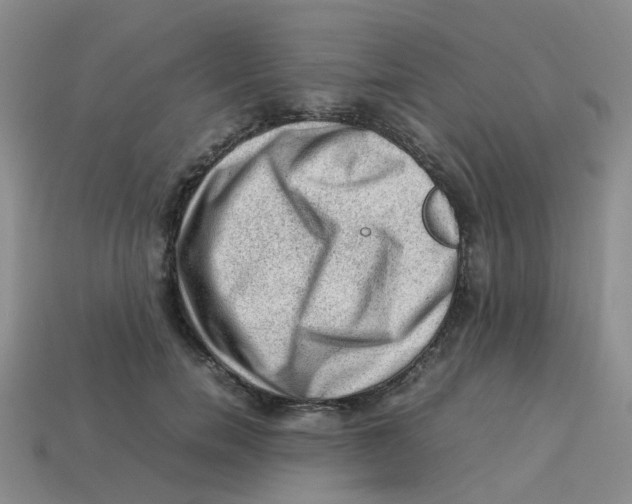 X0000113330750200910131148