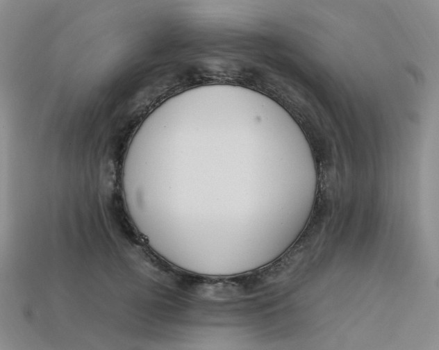 X0000113330752200910131148