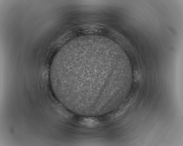 X0000113330753200910131148
