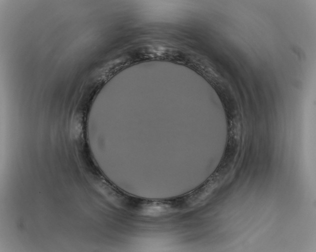 X0000113330754200910131148