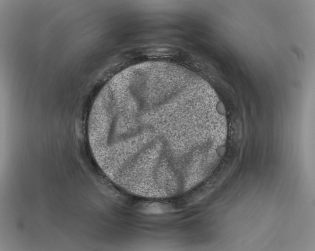 X0000113330755200910131148