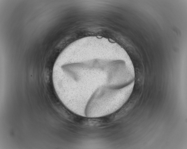 X0000113330758200910131148