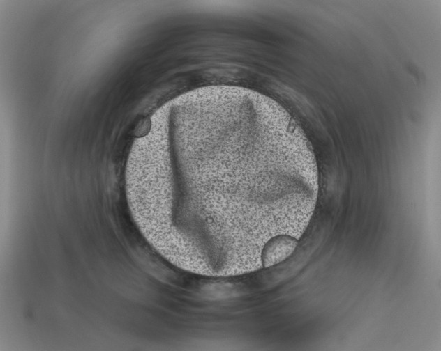 X0000113330759200910131148