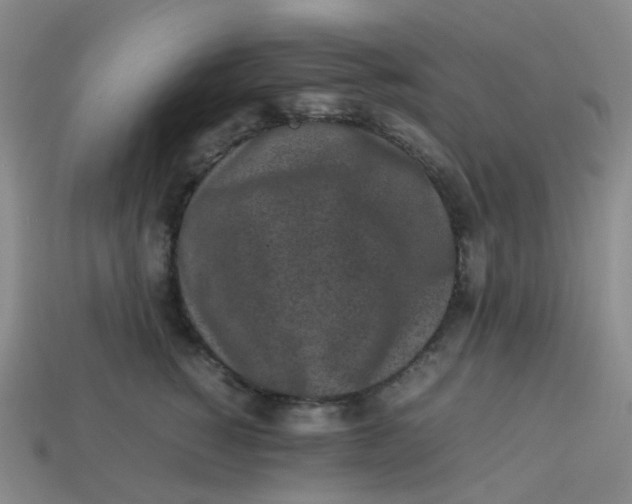 X0000113330760200910131148
