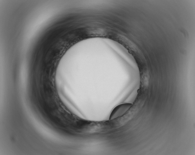 X0000113330764200910131148