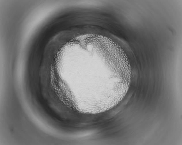 X0000113330765200910131148