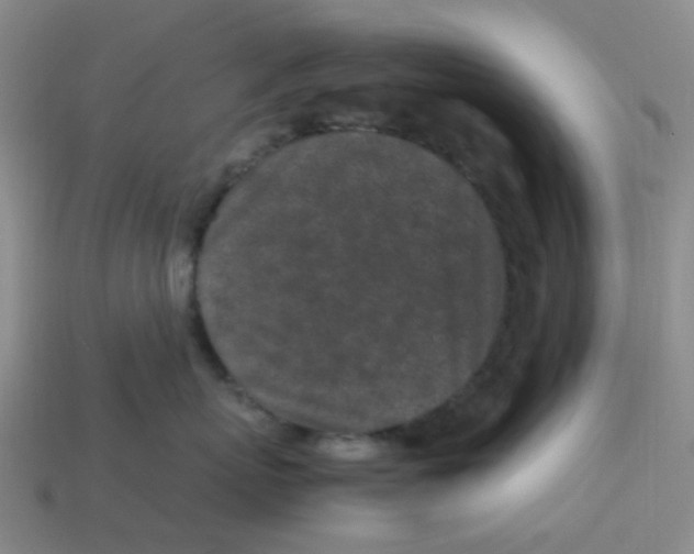 X0000113330767200910131148