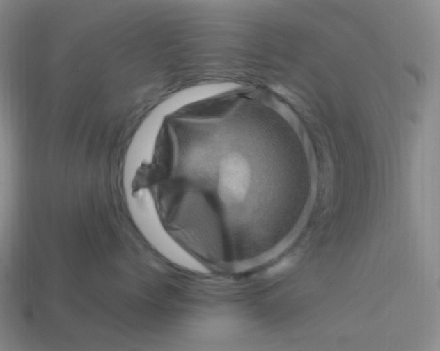 X0000113330768200910131149