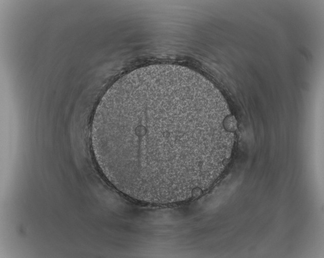 X0000113330769200910131148