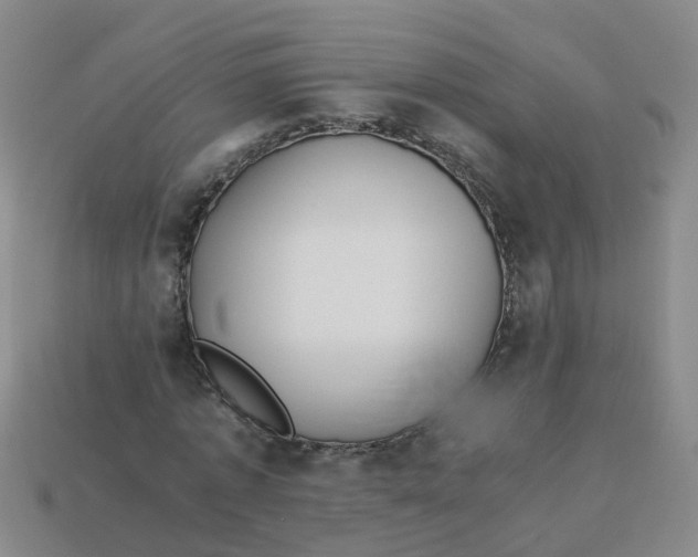 X0000113330773200910131148