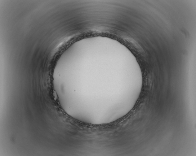 X0000113330776200910131148
