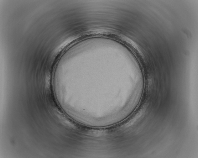 X0000113330778200910131147