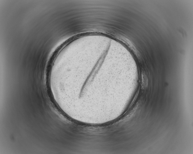 X0000113330780200910131147