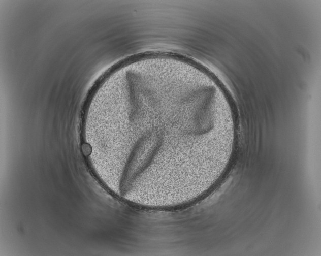 X0000113330783200910131147