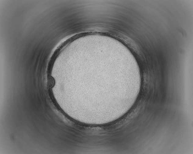 X0000113330784200910131147