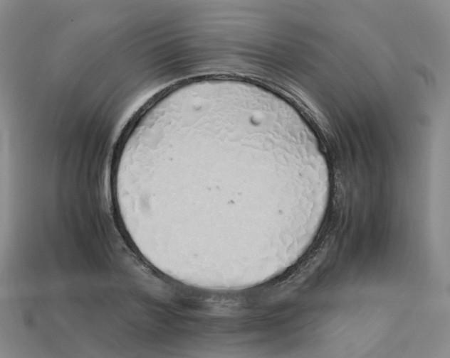 X0000113330788200910131147