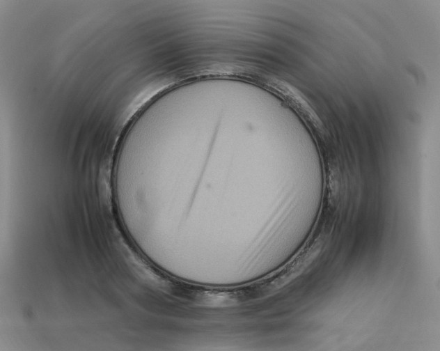 X0000113330794200910131147