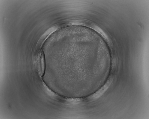 X0000113330801200910131147