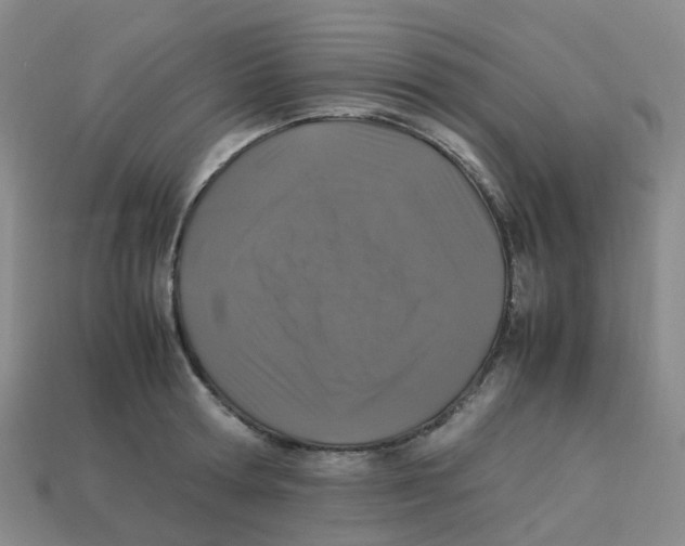 X0000113330802200910131147