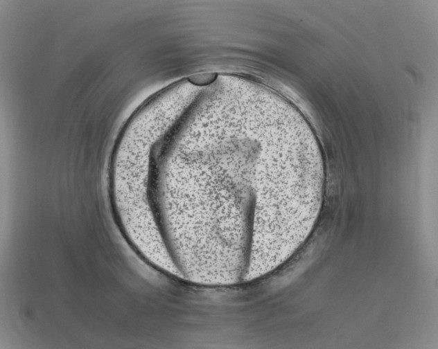 X0000113330803200910131147