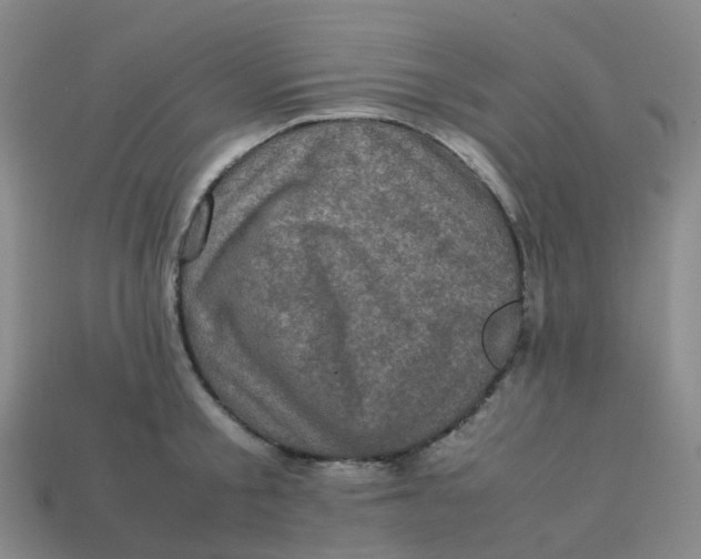 X0000113330805200910131147